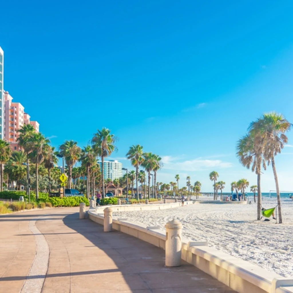 onejitsu-florida-usa