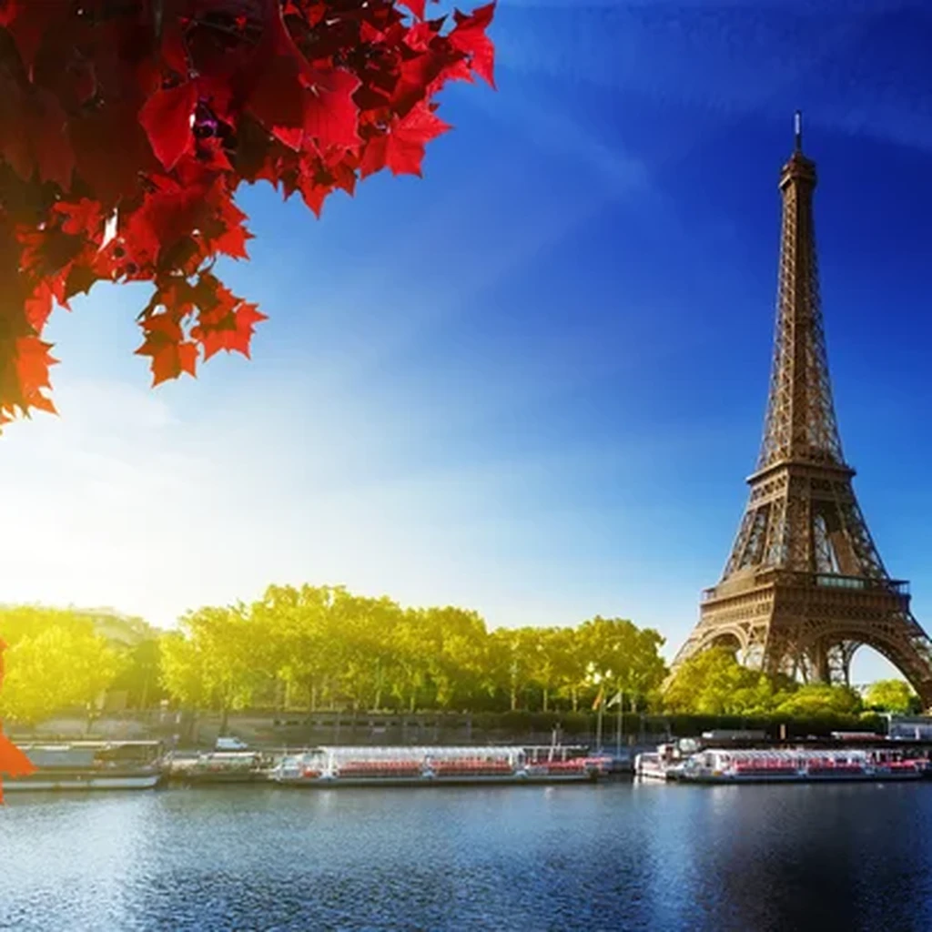 onejitsu-paris-france